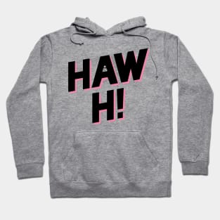 Haw Hi Punjabi Phrase Hoodie